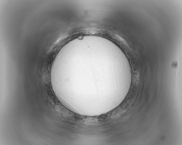 X0000093591446200711051128