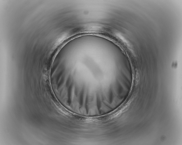 X0000093591449200711051128