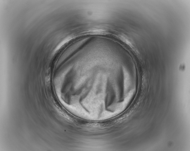 X0000093591450200711051128