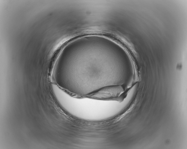 X0000093591453200711051128