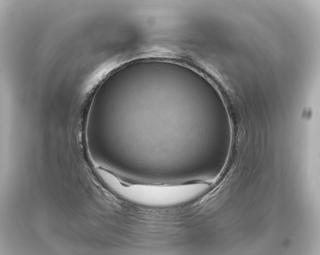 X0000093591455200711051128