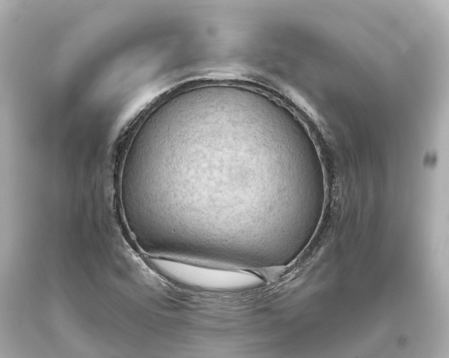 X0000093591456200711051128