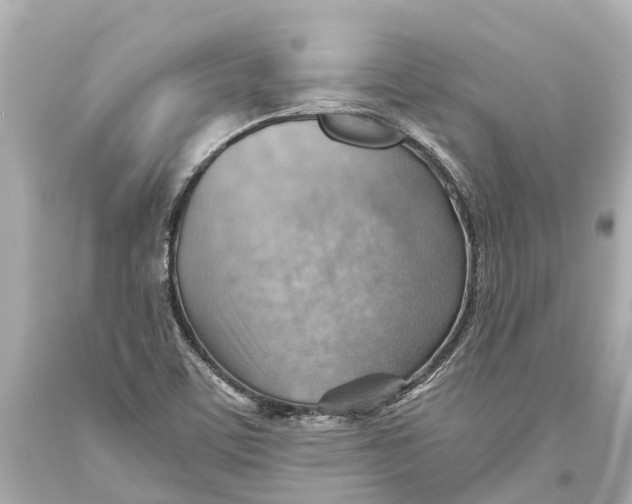 X0000093591459200711051128
