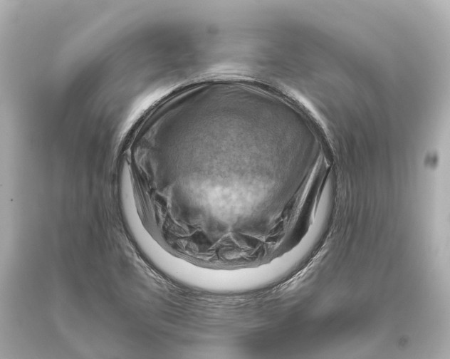 X0000093591461200711051128