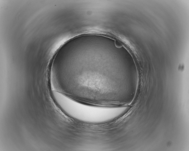 X0000093591463200711051128