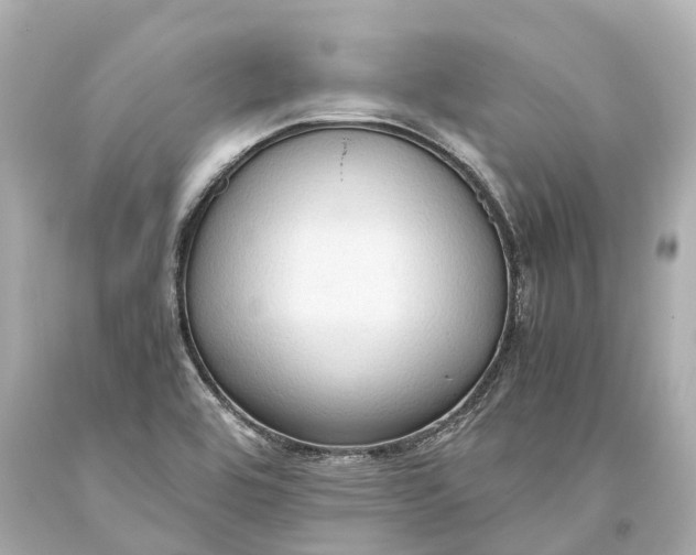 X0000093591464200711051128