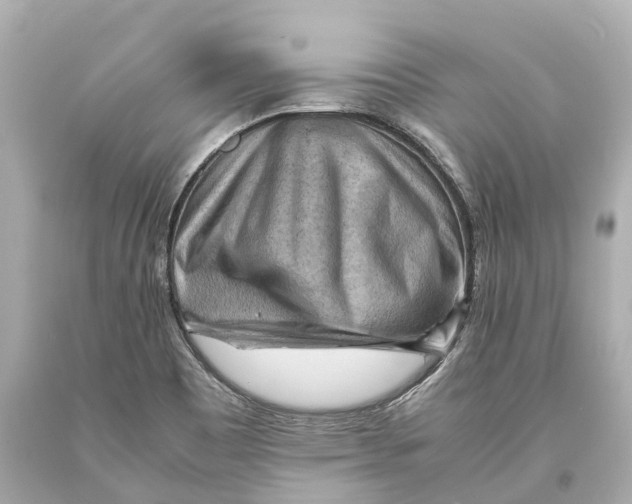 X0000093591465200711051128