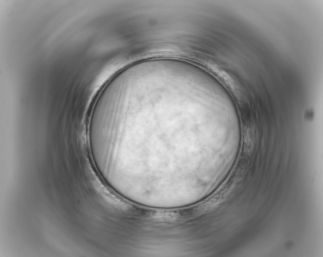 X0000093591466200711051128