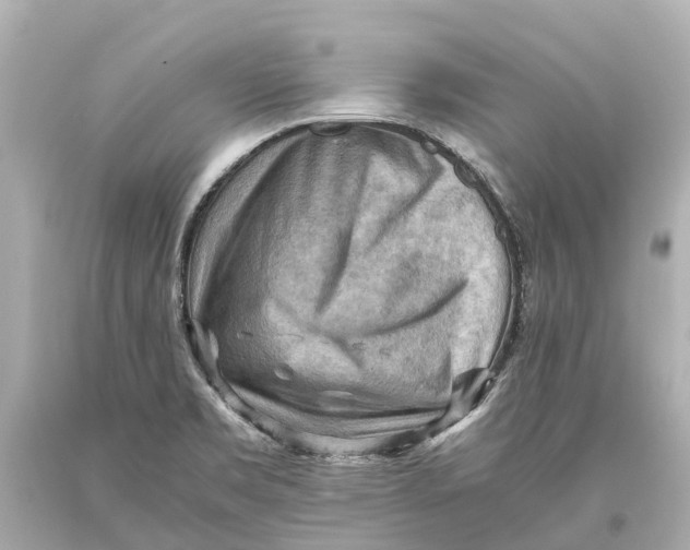 X0000093591469200711051128