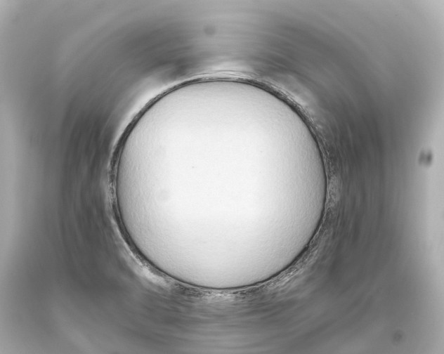 X0000093591470200711051128