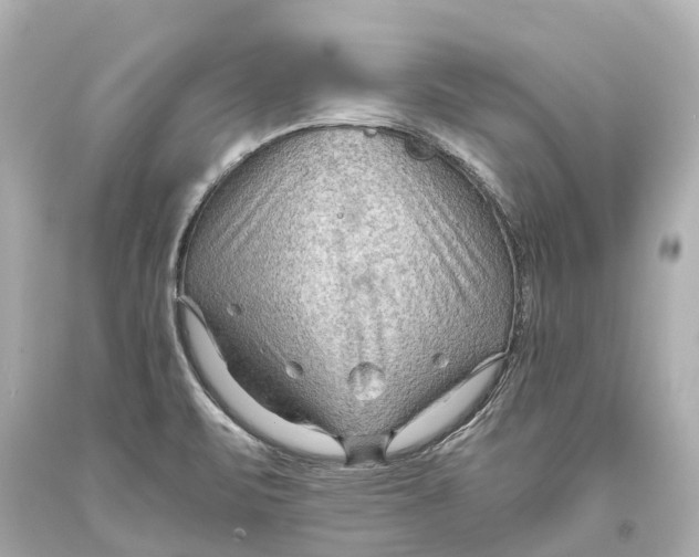 X0000093591471200711051128