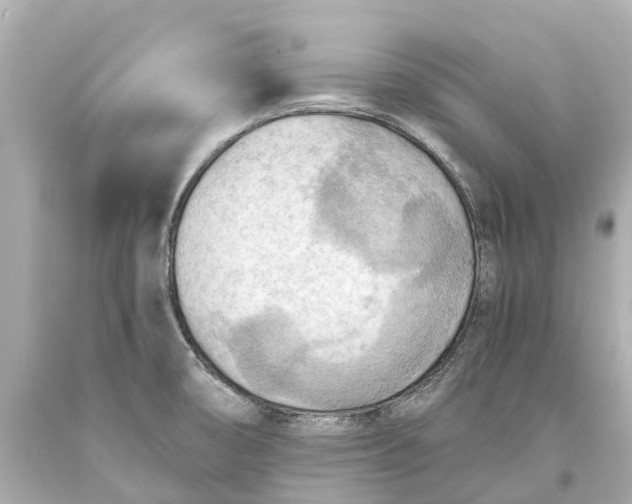 X0000093591474200711051128
