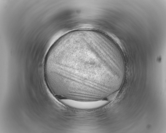 X0000093591475200711051128