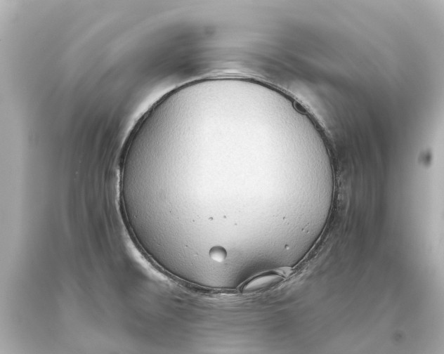 X0000093591476200711051128