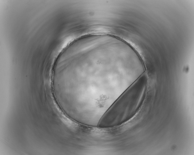 X0000093591477200711051128