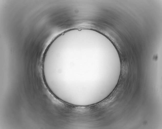 X0000093591478200711051128