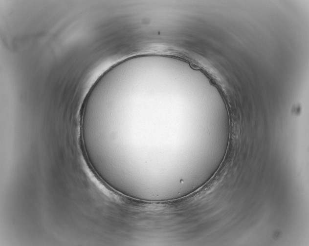 X0000093591479200711051128