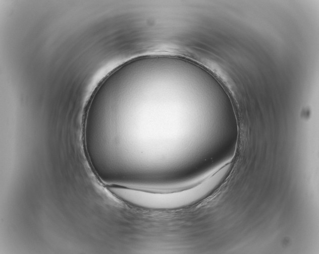 X0000093591480200711051128