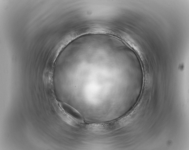 X0000093591481200711051128