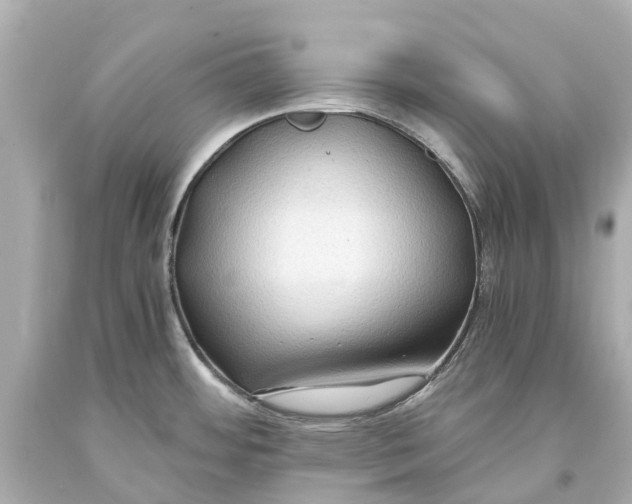 X0000093591484200711051128