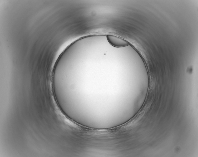 X0000093591486200711051128