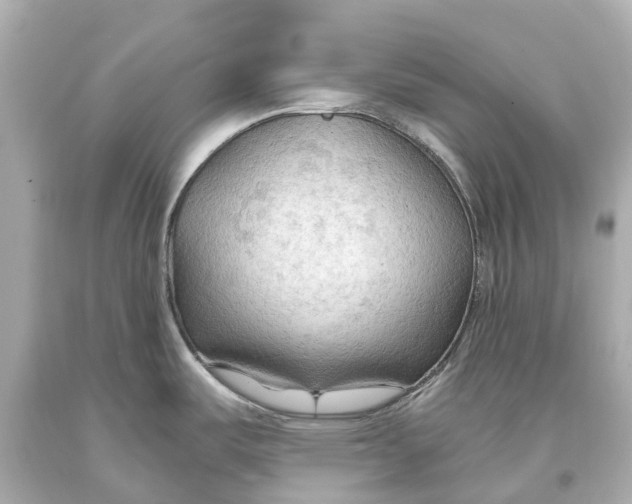 X0000093591487200711051128