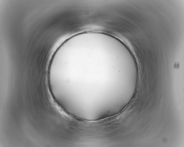 X0000093591488200711051128