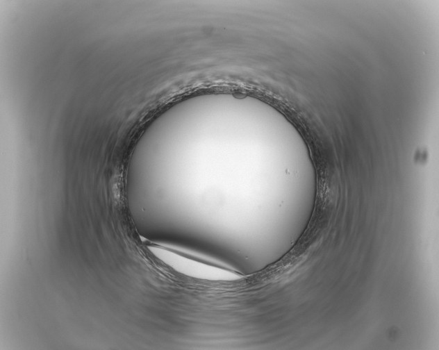 X0000093591490200711051127