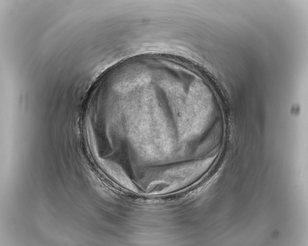 X0000093591497200711051127