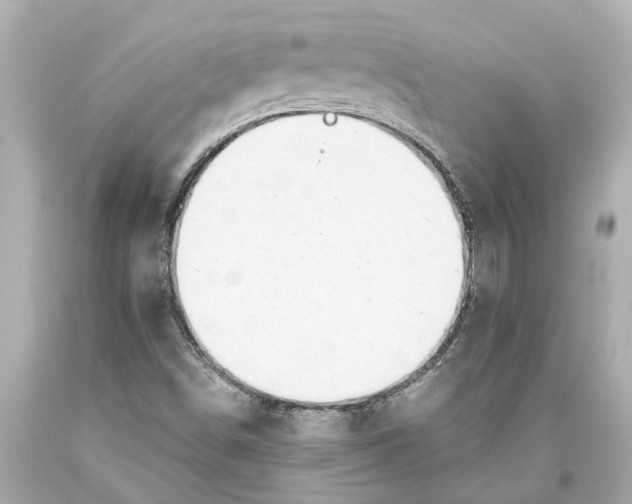 X0000093591498200711051127