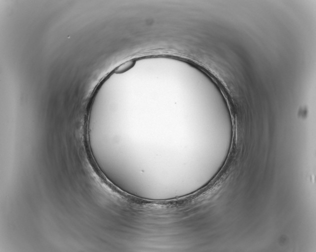 X0000093591500200711051127