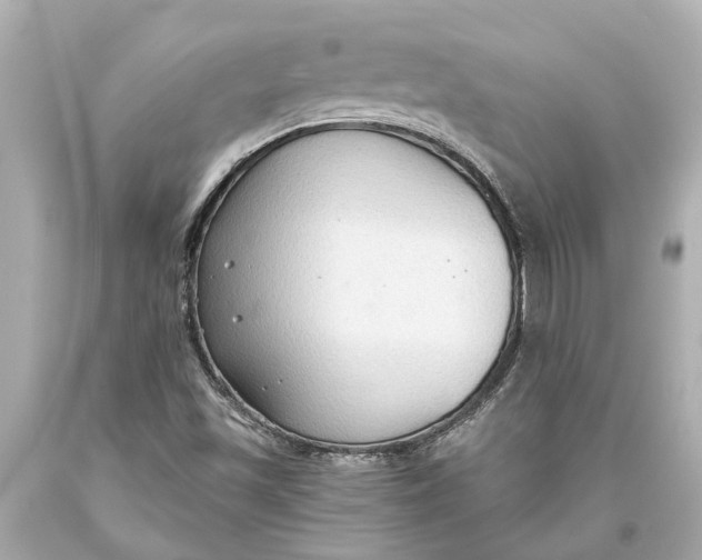 X0000093591501200711051127