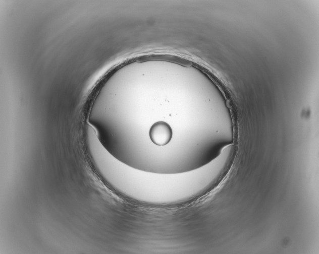 X0000093591502200711051127