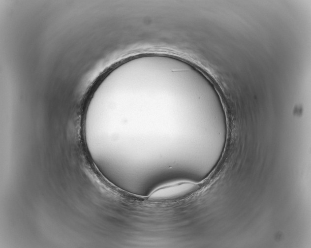 X0000093591503200711051127