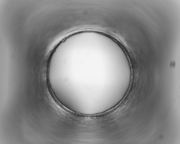 X0000093591504200711051127