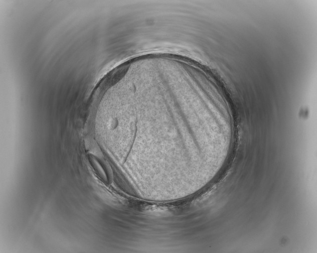 X0000093591505200711051127