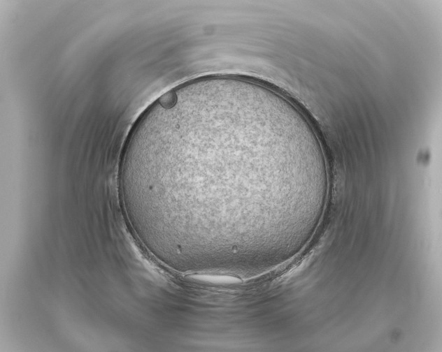 X0000093591513200711051128