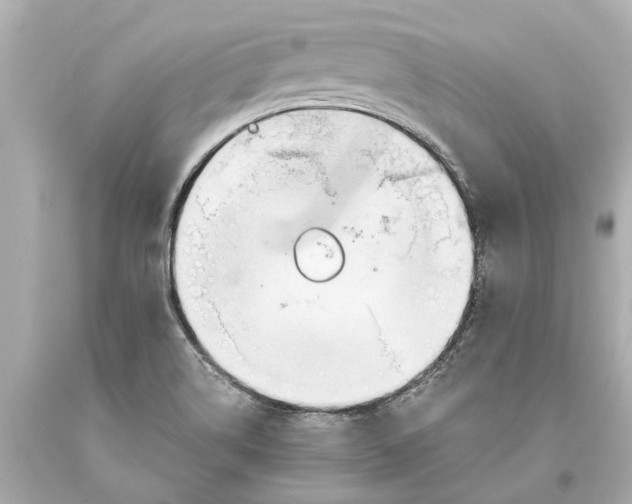 X0000093591514200711051128
