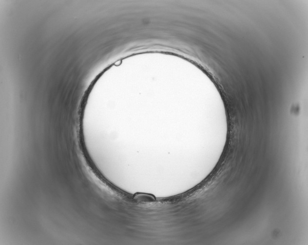 X0000093591518200711051128