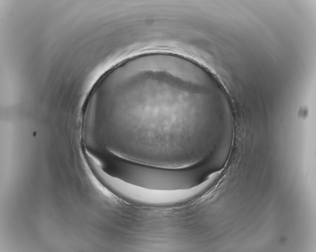 X0000093591519200711051128