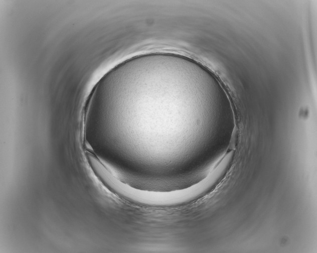 X0000093591520200711051128