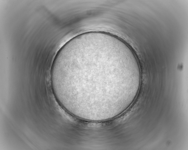X0000093591521200711051128