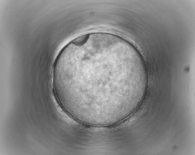 X0000093591522200711051128