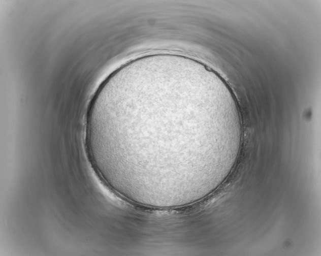 X0000093591523200711051128