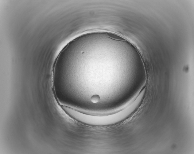 X0000093591524200711051128