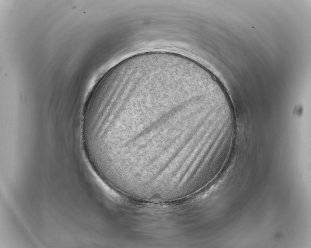 X0000093591525200711051128