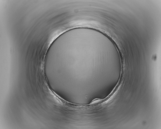 X0000093591529200711051128