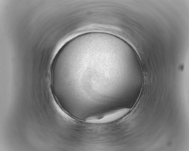 X0000093591531200711051128