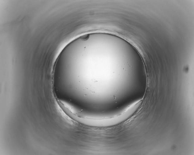 X0000093591532200711051128