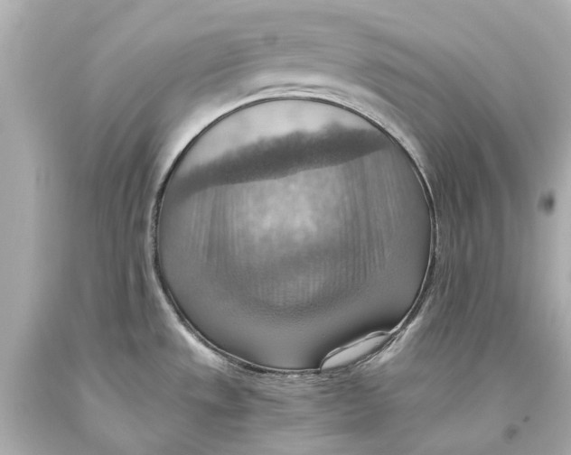 X0000093591533200711051128